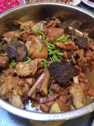 Stupid Chicken Stewed with Mushrooms recipe