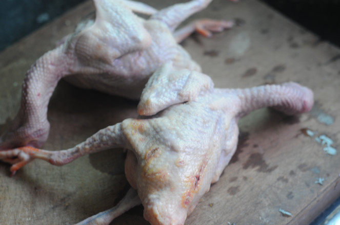 Stewed Quail with Ginseng recipe