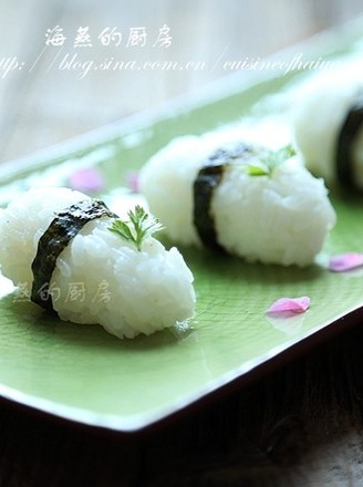 Teach You How to Make Basic Japanese Rice Balls recipe