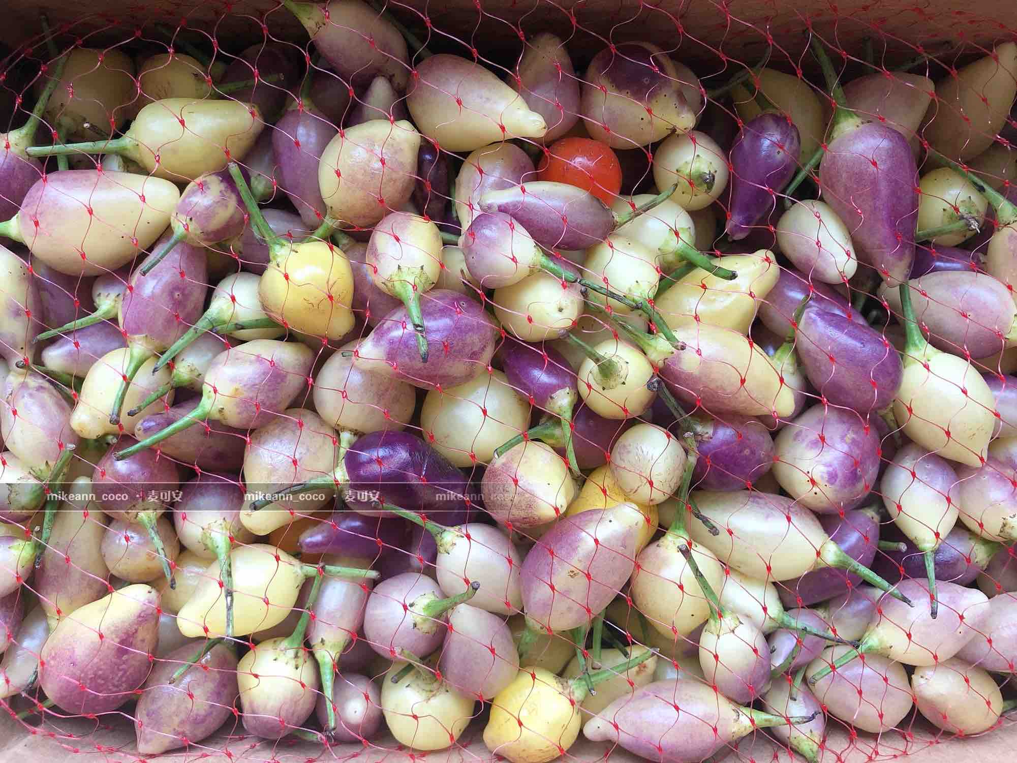 Colorful Pickled Peppers recipe