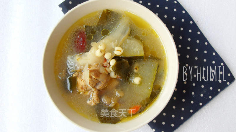 Seaweed Coix Seed Lean Meat Winter Melon Soup recipe