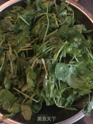 Stir-fried Pea Sprouts recipe