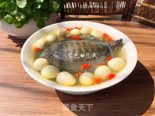 Braised Turtle Soup recipe