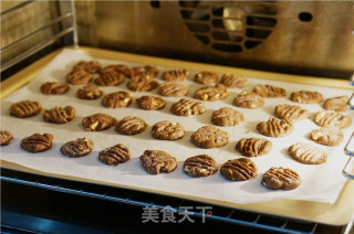 Hazelnut Cocoa Cookies recipe