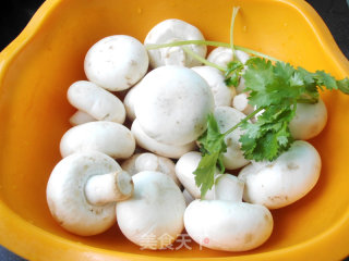Fried Mushrooms recipe