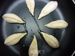 Golden Net Fried Dumplings recipe