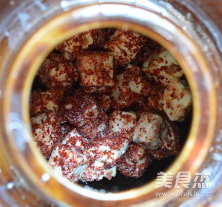 Hunan Homemade Moldy Tofu recipe