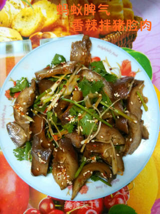 Ant Temper --- Spicy Pork Cheek recipe