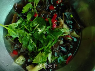 Pickled Pepper Fungus recipe