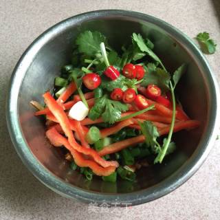 Fast Lazy Meal ~ ~ Shredded Chicken recipe