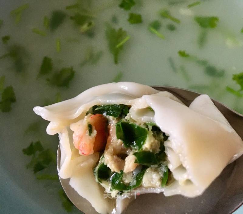 Shrimp Wonton recipe