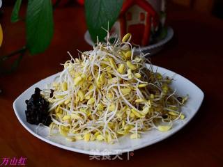 Stir-fried Black Bean Sprouts with Shredded Chicken recipe