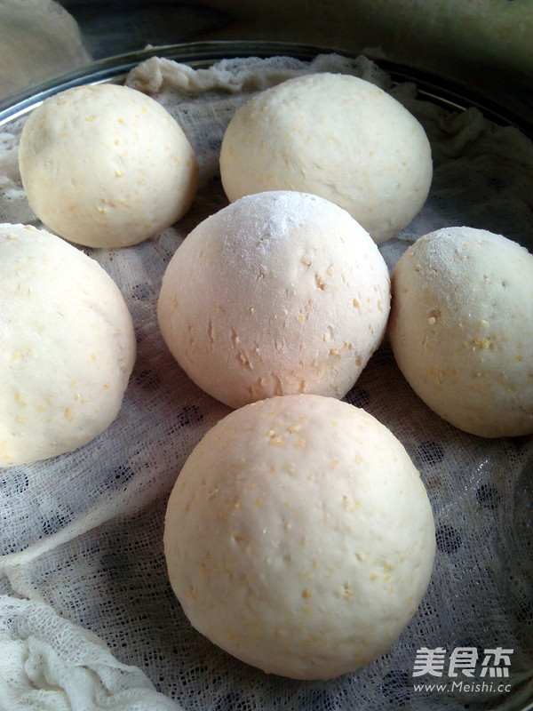 Multigrain Buns recipe