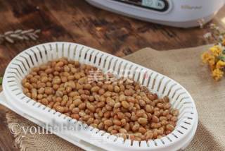 Homemade Natto recipe