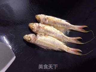 Fried Red Shirt Fish recipe
