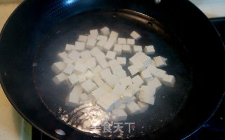 Laoganma Roasted Tofu with Minced Pork recipe