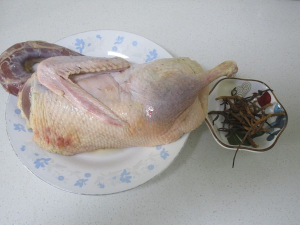 Stewed Duck with Cordyceps recipe