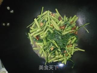 Stir-fried Fatty Pork with Water Spinach recipe