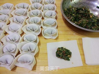 #trust之美#dandelion Meat Wonton recipe