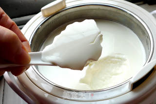 Home-made Yogurt and Large Fruit Yogurt recipe