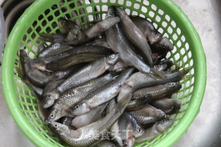 Crispy Fried Fish recipe