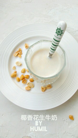 Homemade Peanut Milk recipe