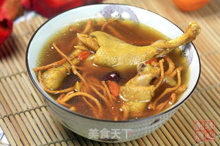 Cordyceps Flower Tea Duck Soup recipe