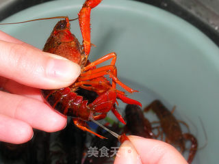 The Season of Fangs and Claws is Crazy-[spicy Crayfish] recipe