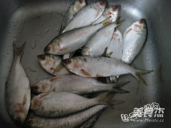 Fried Sea Crucian Carp recipe