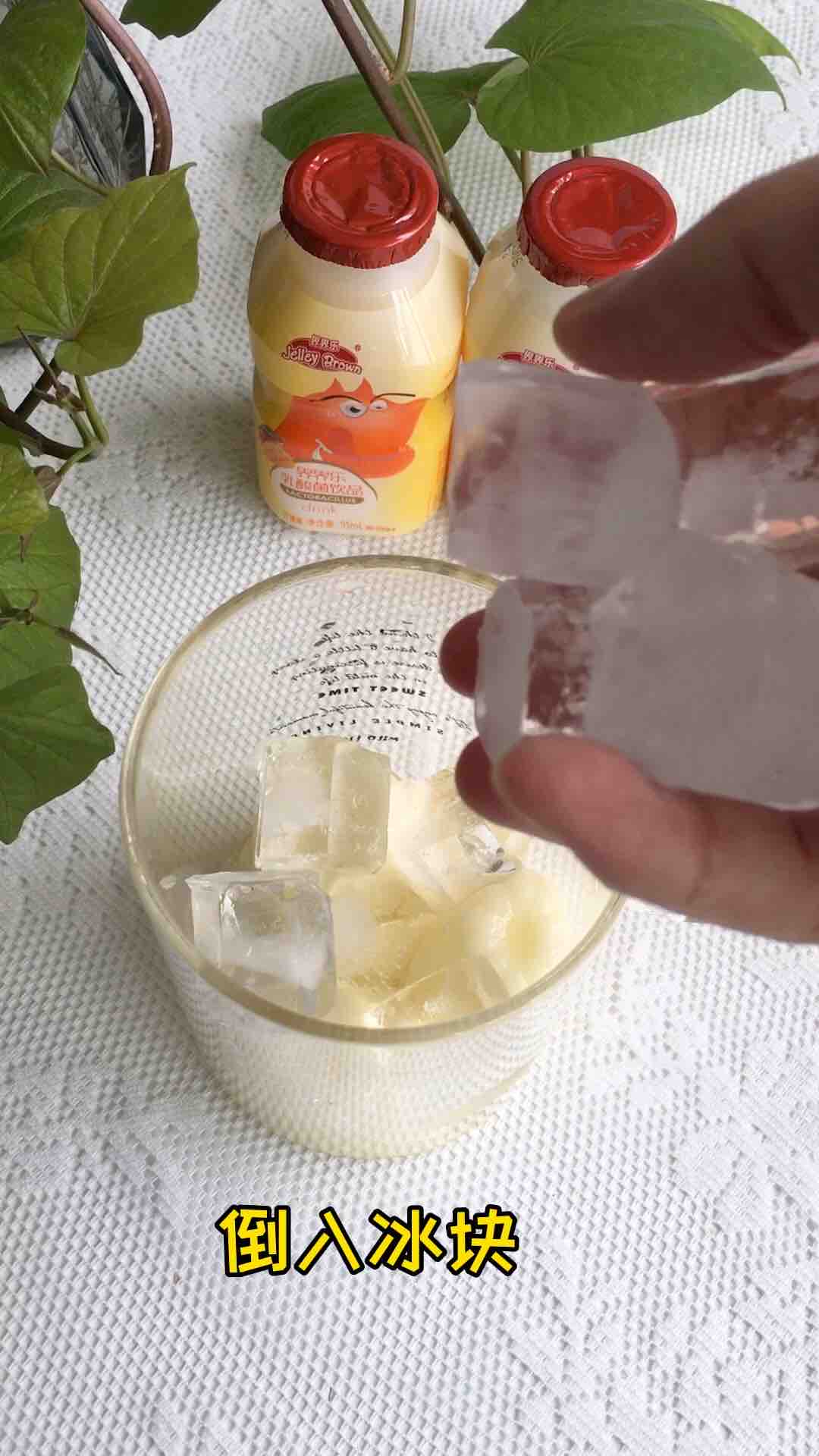 Jelly Lactic Acid Bacteria Drink recipe