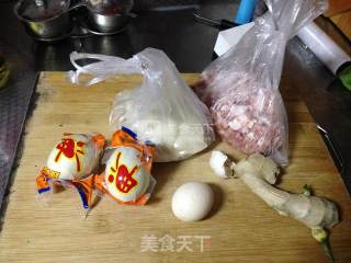 Salted Egg Yolk Fresh Meat Wonton recipe