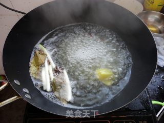 Brine Shrimp recipe