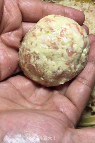 Braised Tofu Meatballs recipe