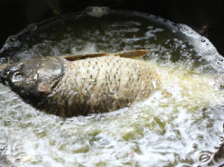 Home Cooked Carp recipe