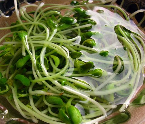 Hawthorn Cake Mixed with Bean Sprouts recipe