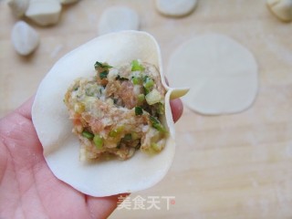 The Most Fragrant But Pork Buns——scallion-flavored Pork Dumplings recipe