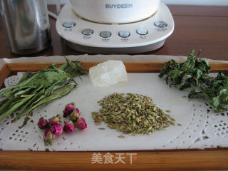 Slimming Beauty--fennel Tea recipe