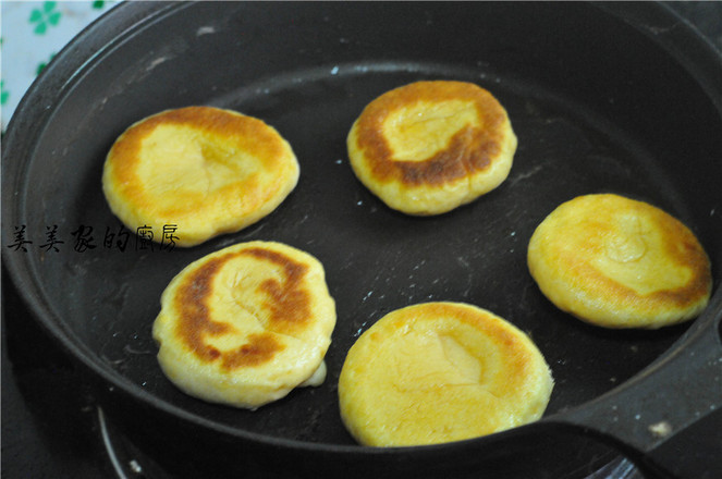 Corn Tortillas recipe