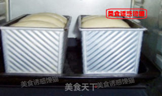 Pure Custard Toast recipe