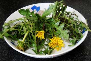 Dandelion Flower Tea recipe