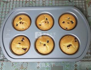 Cranberry Sponge Cake recipe