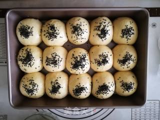 Milk Snack Pack recipe