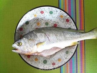 【steamed Yellow Croaker】 recipe