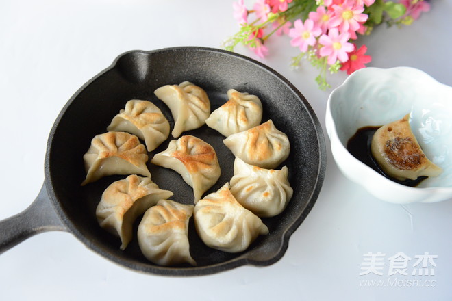 Pork and Leek Stuffed Pot Stickers recipe