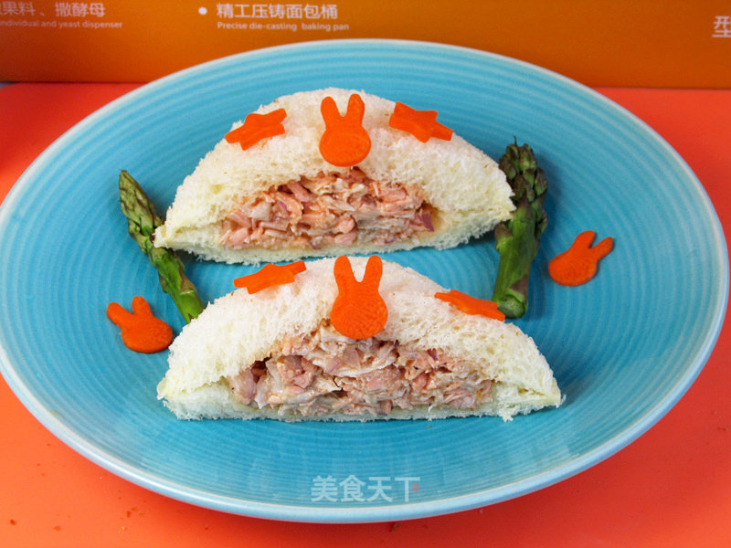 Salmon Pocket Sandwich recipe