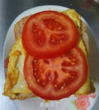 Cheese Egg Tomato Whole Wheat Sandwich recipe