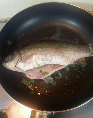 Crucian Carp and White Fungus Tofu Soup recipe