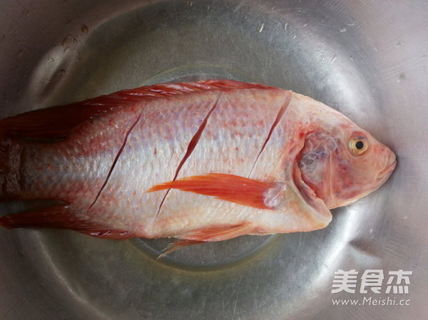 Steamed Red Snapper Fresh Trial in June recipe