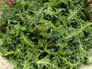 Steamed Artemisia recipe