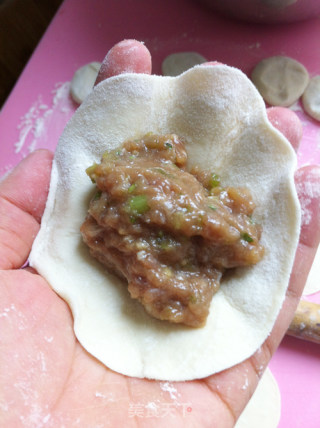 Juicy Parsley Beef Fried Dumplings recipe